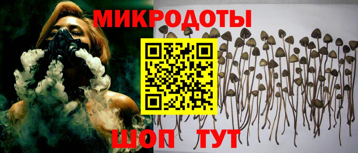 Псилоцибиновые грибы Magic Shrooms  Вход с VPN  Анжеро-Судженск  Псилоцибиновые грибы MAGIC MUSHROOMS 