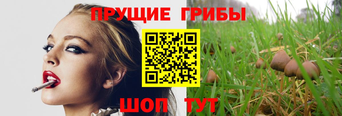 Псилоцибиновые грибы мухоморы Анжеро-Судженск